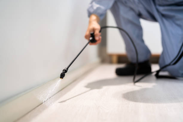 Licensed Pest Control service in Socorro, NM - Show Me Pest Control